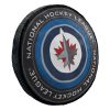 Winnipeg Jets OFFICIAL NHL 15" Cloud Pillow